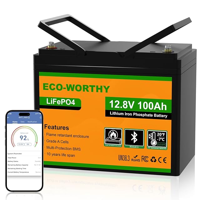 ECO-WORTHY 100 Ah LiFePO4 battery with Bluetooth monitoring